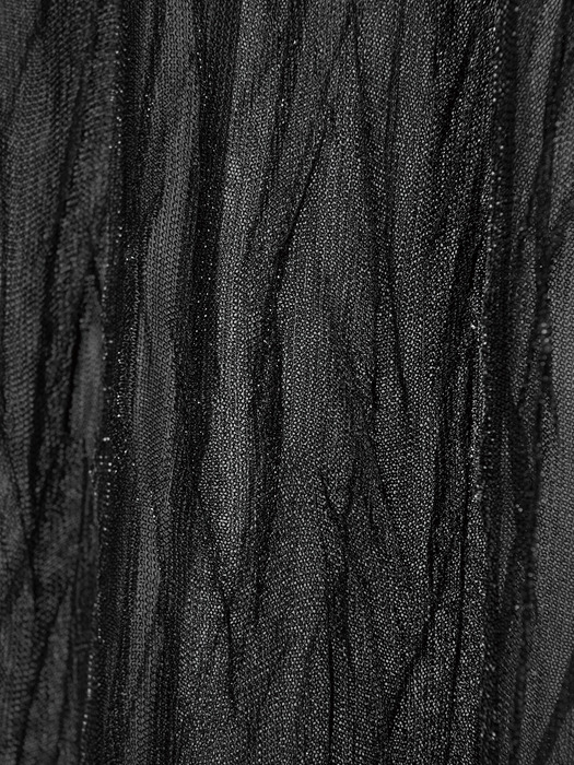 24SS LUNA METAL LAYERED PANTS black