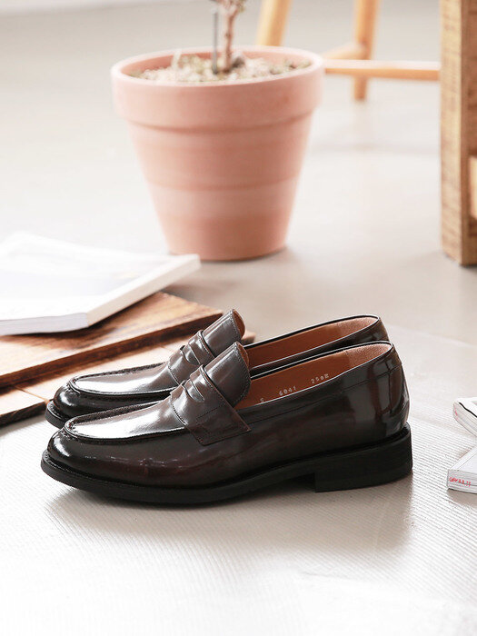 Shine Brown Penny Loafer #6041e