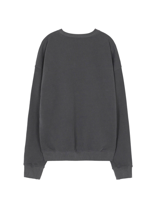 Velvet Trunk Print Sweatshirt in D/Grey VW1WE141-13 [기모버전추가]