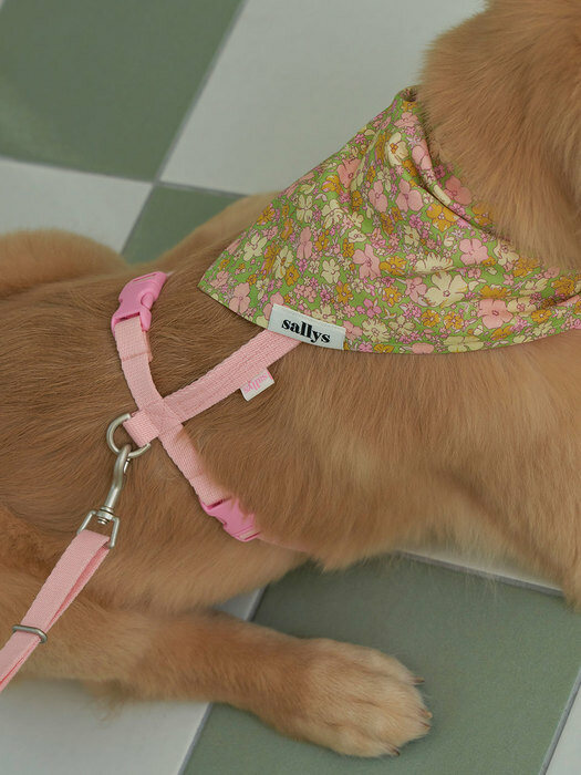 Blossom H type harness