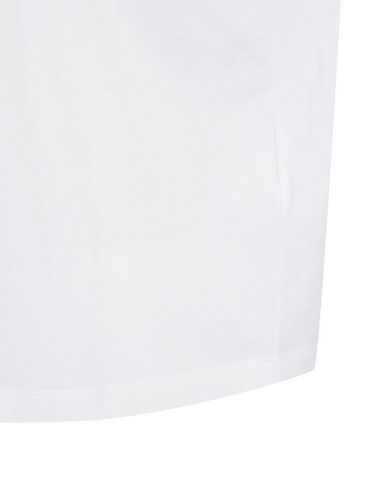 Print Point Regular Fit Half Sleeve T-shirt_LFTAM23580IVX