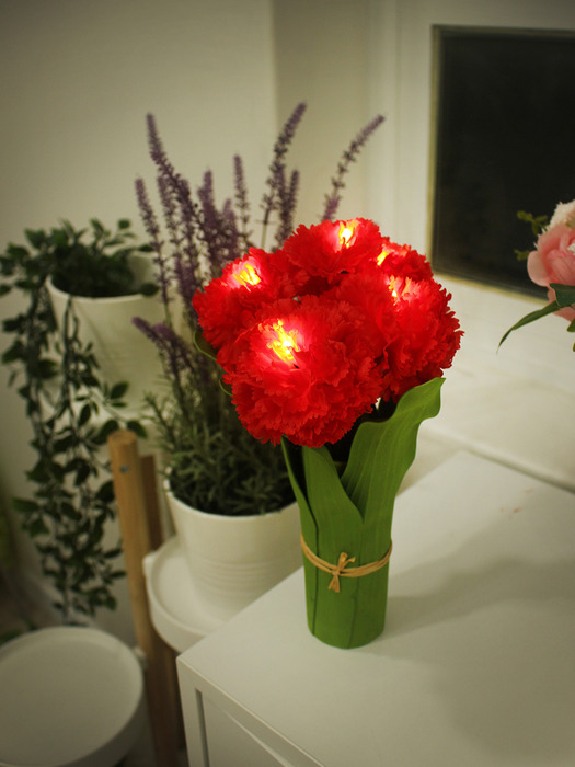 carnation LED 조명 (RD)
