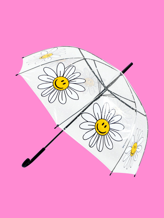 Bubble Umbrella(투명우산)