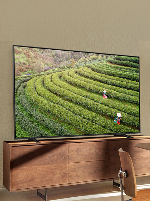 QLED 4K TV 214cm(85) KQ85QA65AFXKR (설치배송/인증점)