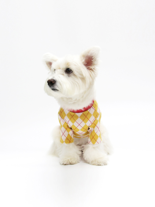 ARGYLE PATTERN TSHIRT-YELLOW(반팔티)