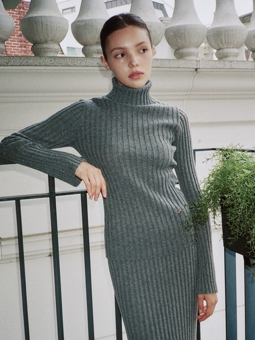 DINA RIBBED TURTLE NECK KNIT (2colors)