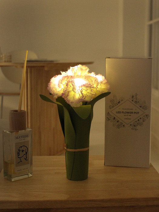 carnation LED 조명 (WP)