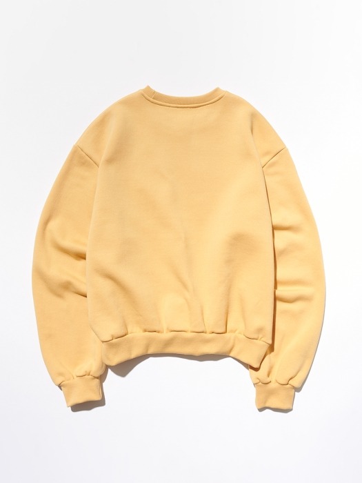 19 TEDDY FOX MTM [YELLOW]