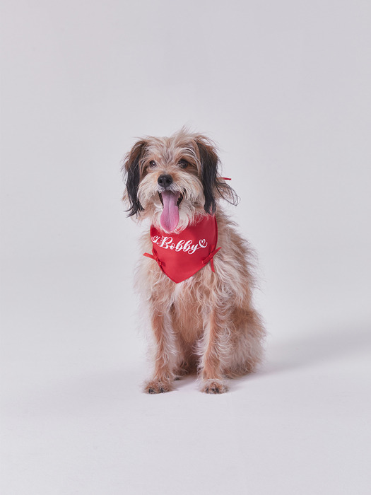 NAMING MERRY RIBBON BANDANA (RED)