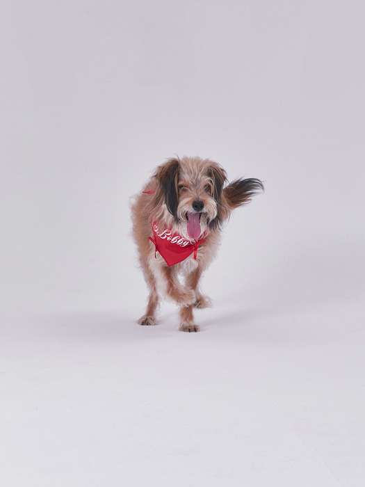 NAMING MERRY RIBBON BANDANA (RED)