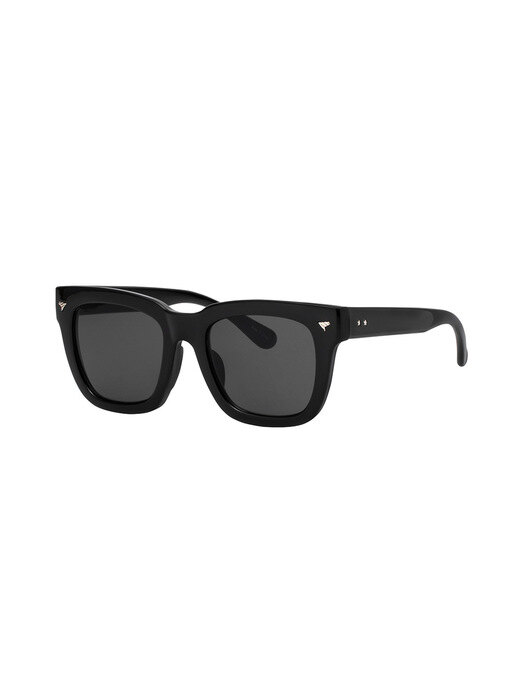 RECLOW G365 BLACK 선글라스
