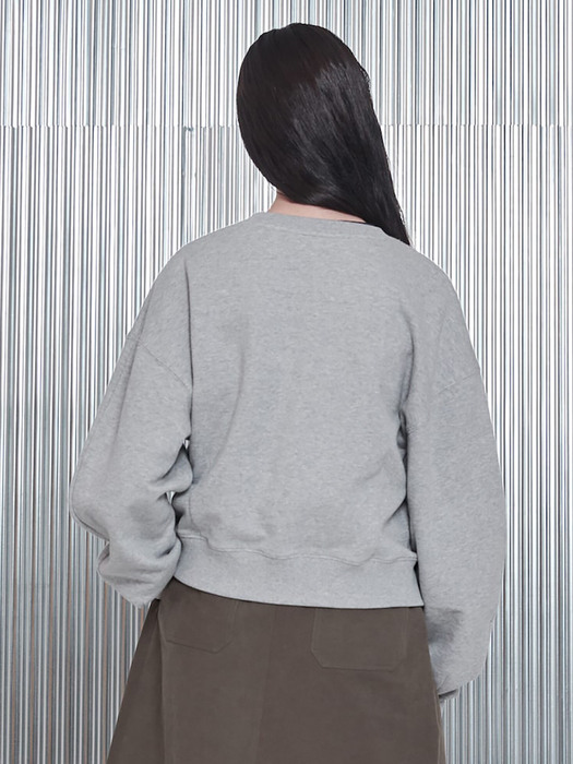 Vneck Sweatshirts  Grey (KE2840M073)