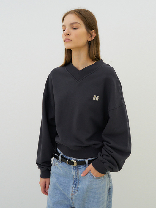 V-neck cotton logo sweatshirt (dark grey)