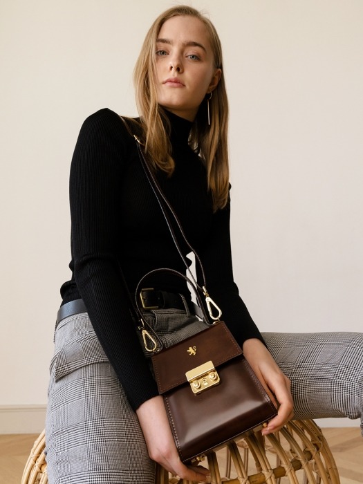 mini artemis bag brown