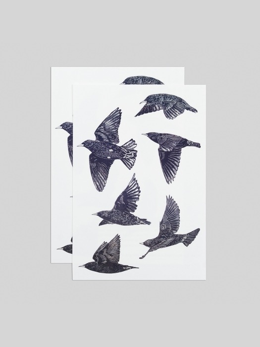 European Starlings Sheet   타투 스티커 시트