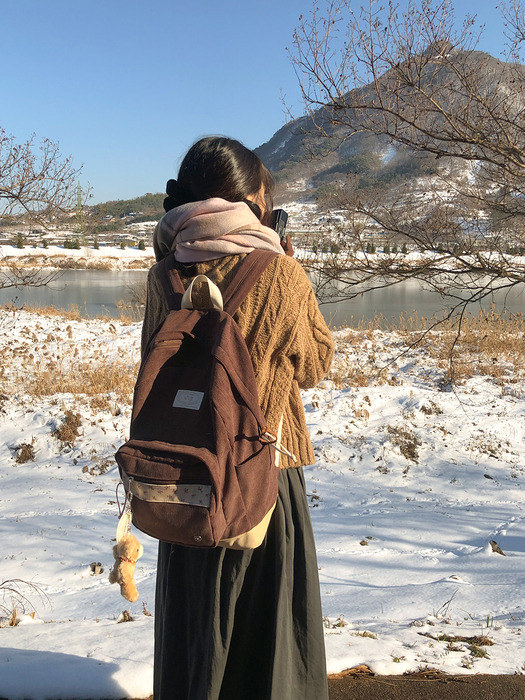 Bon voyage backpack - mauve brown