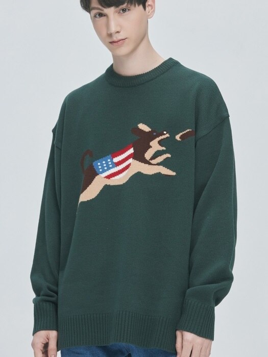 USA Jump Dog Knit Sweater (green)