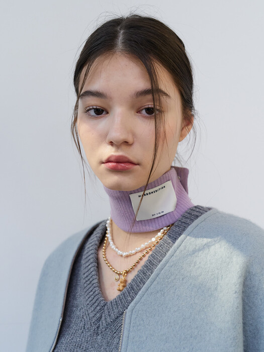 21 Winter_ Mini Neck Band