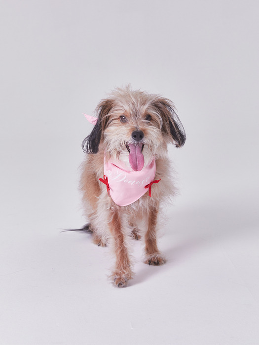 NAMING MERRY RIBBON BANDANA (PINK)