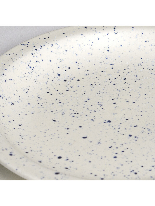 Splatter Dish Matte Navy