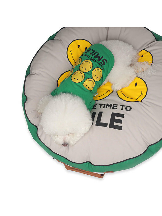 Smiley Round Cushion Green