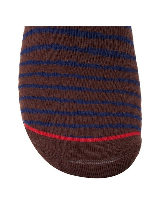 zebra stripe pattern socks_CALAX19525BRX