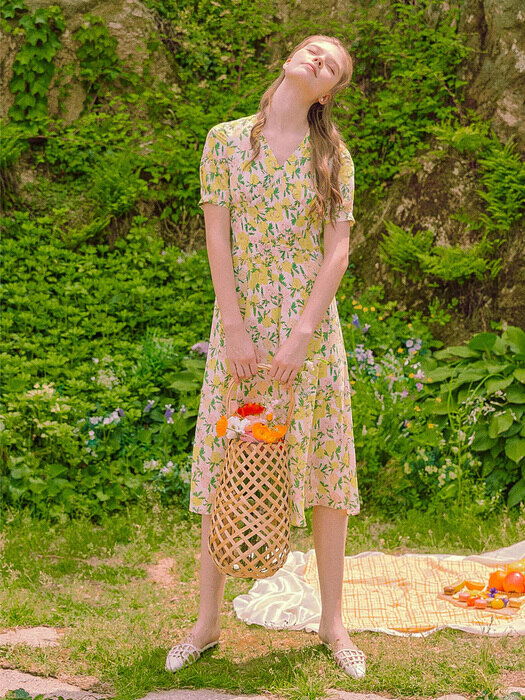 Garden Party Dress_2colors