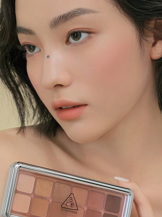 뉴 테이크 아이 섀도우 팔레트 9.5g