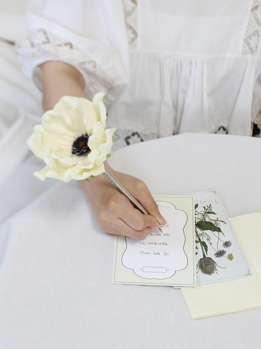 white lovely anemone flower pen