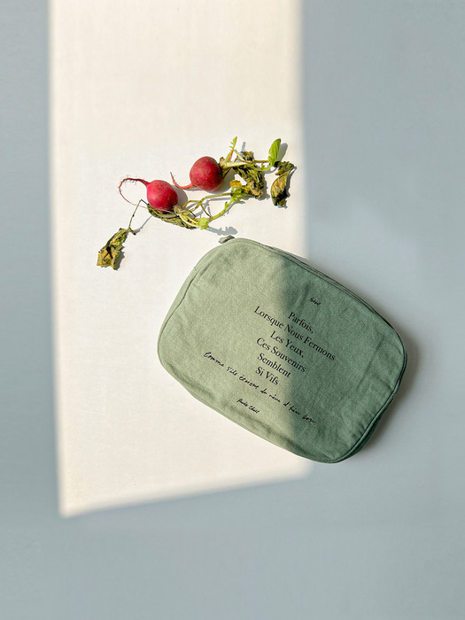 Voyage Pouch (Mint)