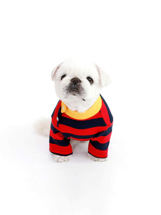 STRIPE NECK BUTTON TSHIRT-RED(반팔티)