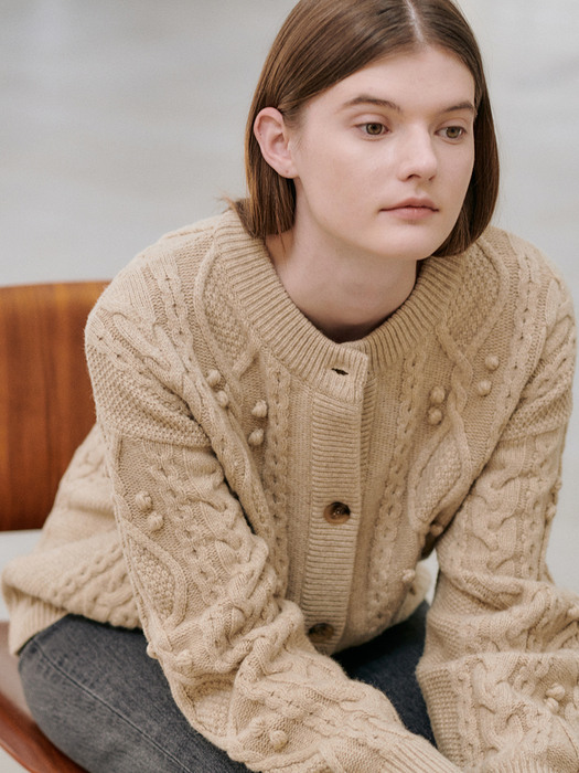 20WN winter cable cardigan [BE]