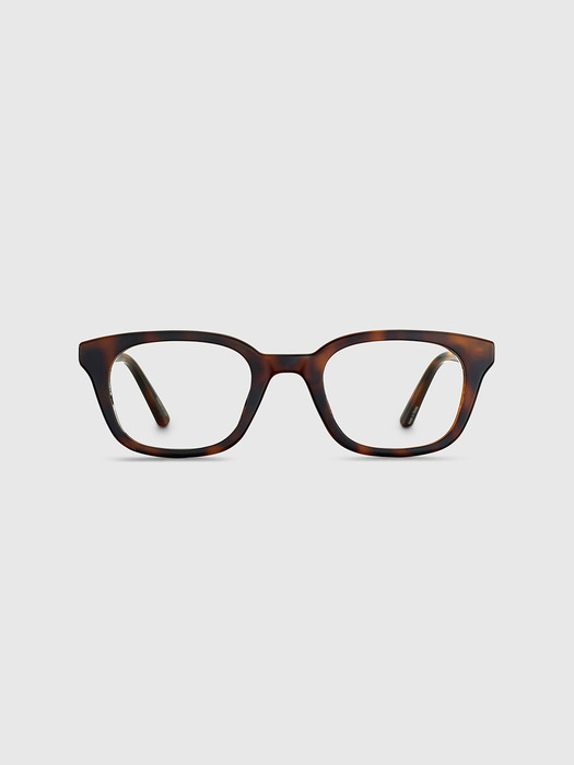 SIGMA leopard - Image 2