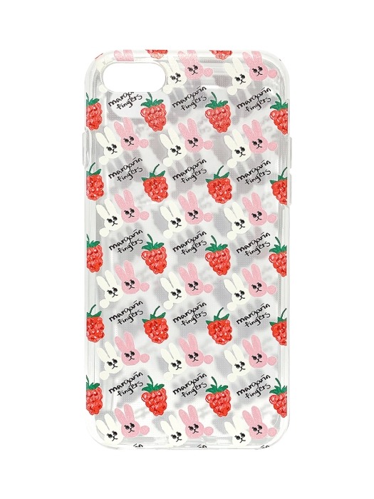 raspberry rabbit case