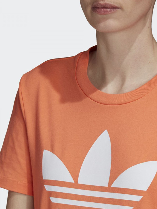 [FM3295] TREFOIL TEE