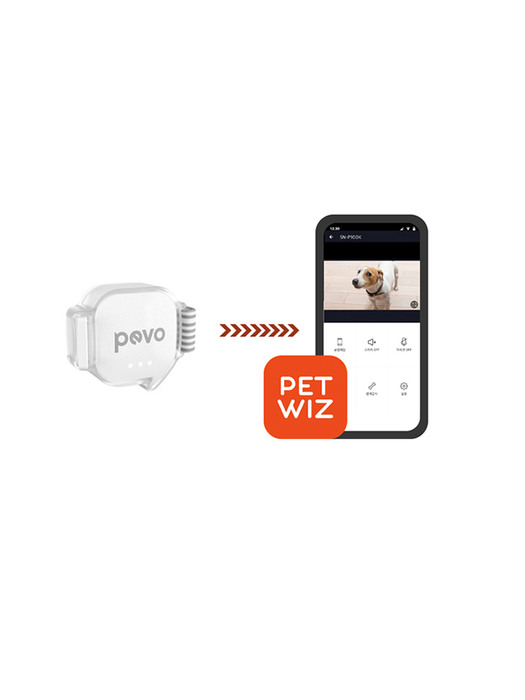 [KT] 반디팩 PevoPro 웨어러블 +PETWIZ(자동급식기)+반려견 케어플랜 3개월권