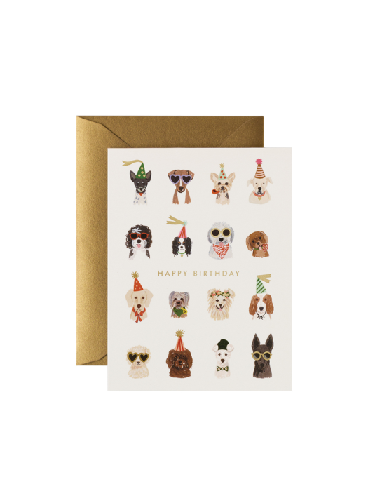 라이플페이퍼 Party Pups Birthday Card 생일 카드