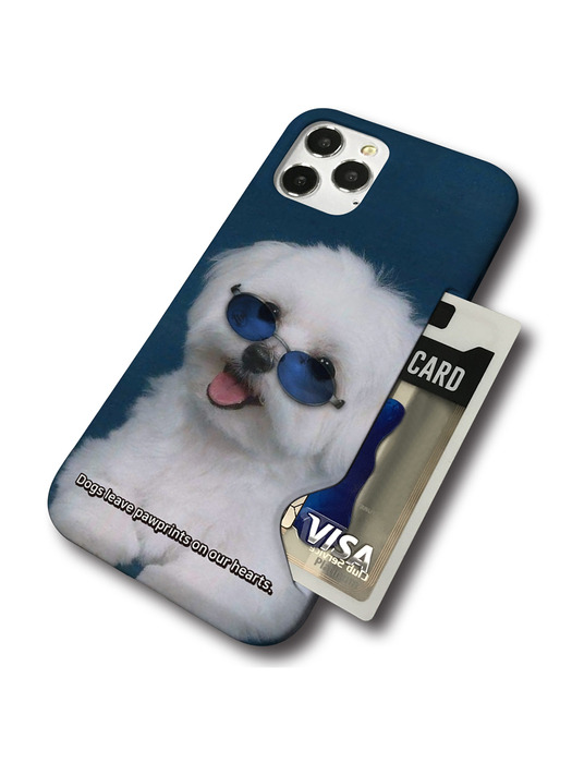 메타버스 슬림카드 케이스 - Y2K 블루독(Y2K Blue Dog)