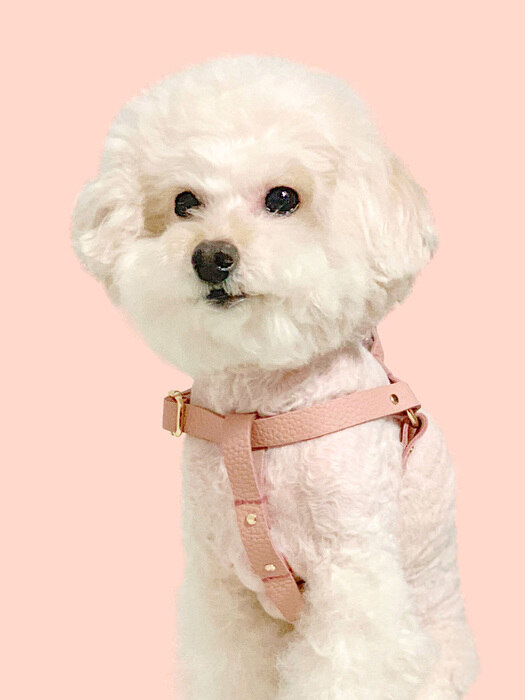 Running Mate Harness_Rose Pink