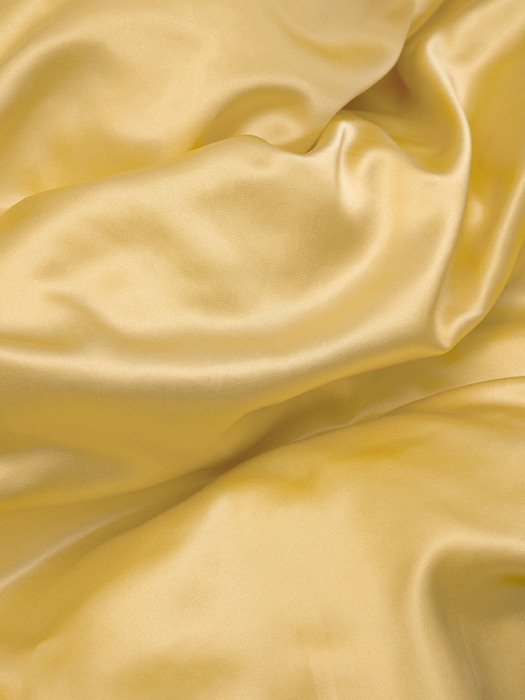 [단독] Dolce pillowcase - Gold