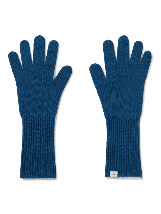 Long Gloves (Blue)