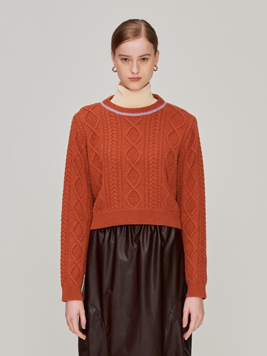 Wool Crop Sweater_Brown