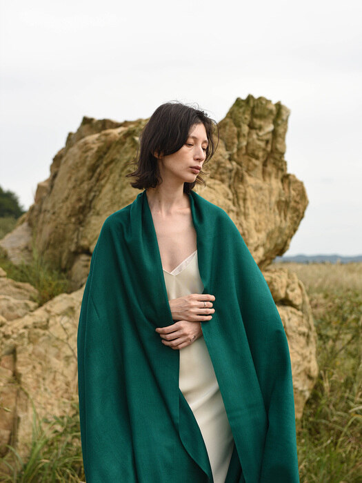 Cashmere pashmina muffler_French green