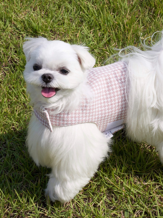 Hound Pattern Harness - CREAM PINK