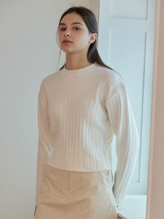 Ribbed Round Neck Knit 2Color