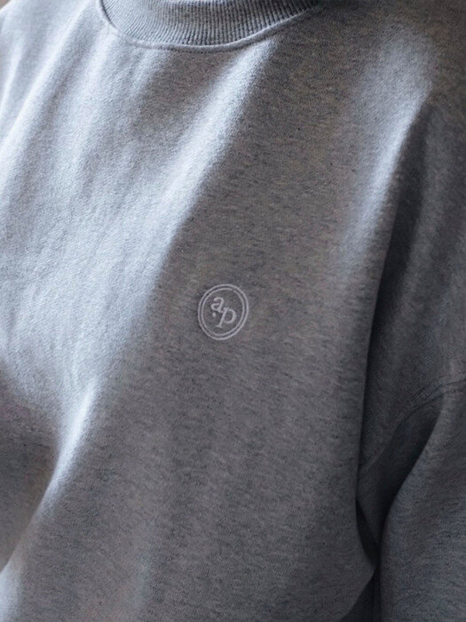 logo sweat shirts [gray]