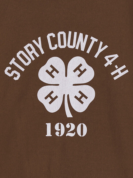 STORY COUNTY T-SHIRTS BROWN