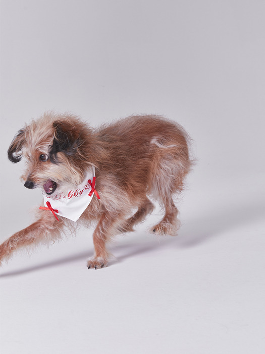 NAMING MERRY RIBBON BANDANA (WHITE)