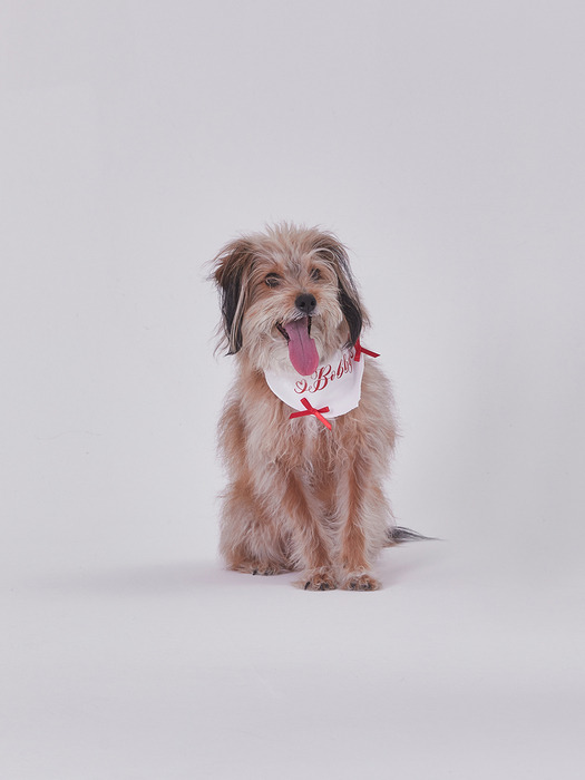 NAMING MERRY RIBBON BANDANA (WHITE)