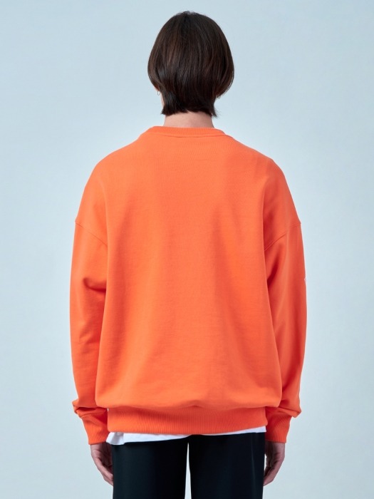 Unisex Embroidered Sweatshirt ACC_02_CORAL_LARGE